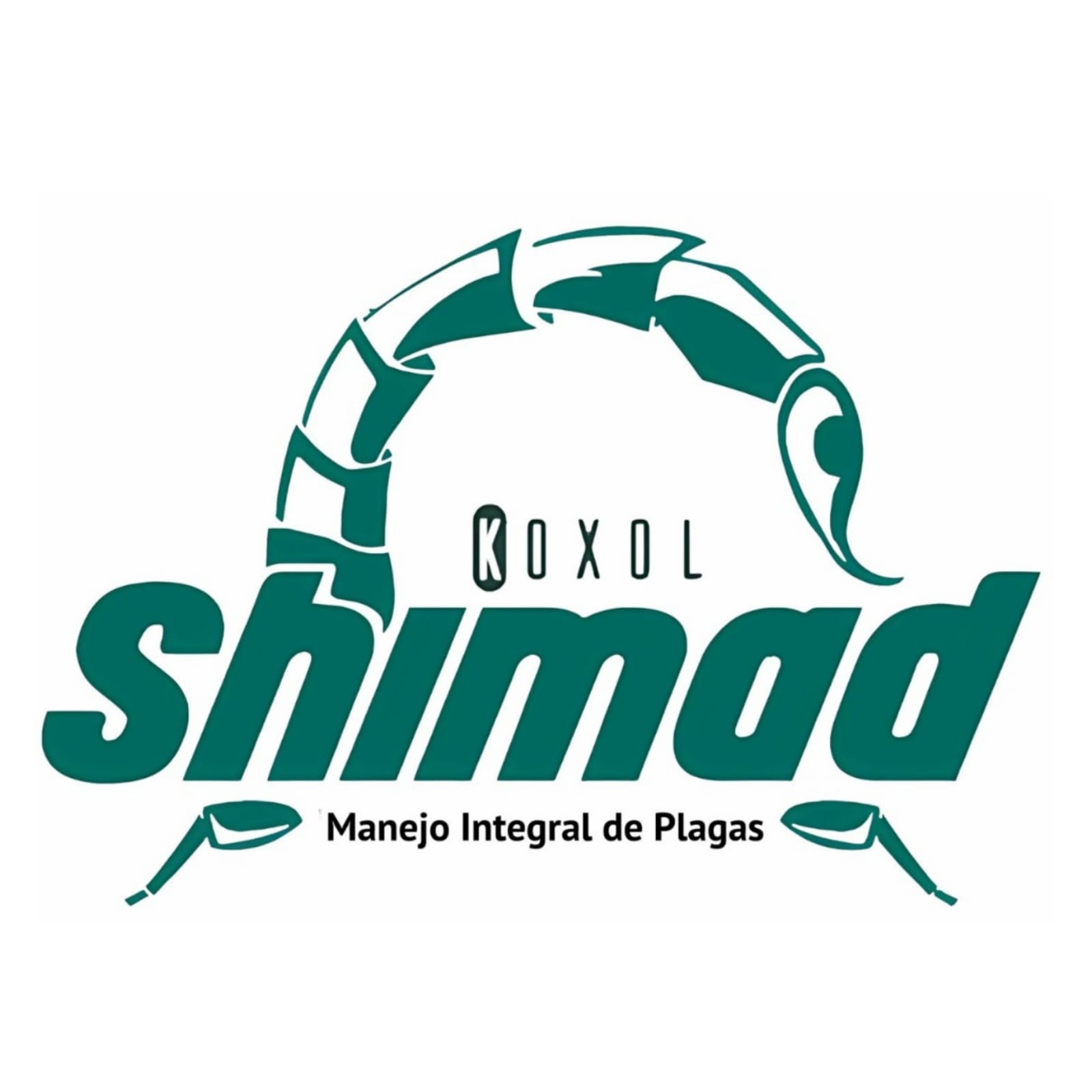K'oxol Shimad